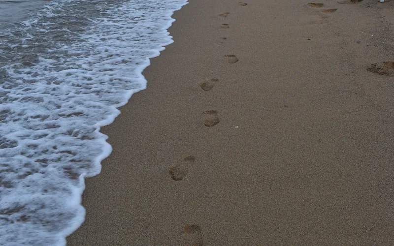 A single line of bare footprints curving down wet sand at dusk, beside the white edge of the surf, with nobody in the frame.